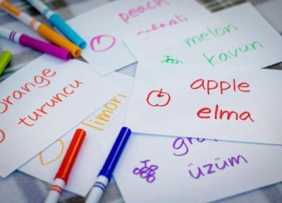 چرا باید زبان ترکی یاد بگیریم؟ چرا باید زبان ترکی یاد بگیریم؟